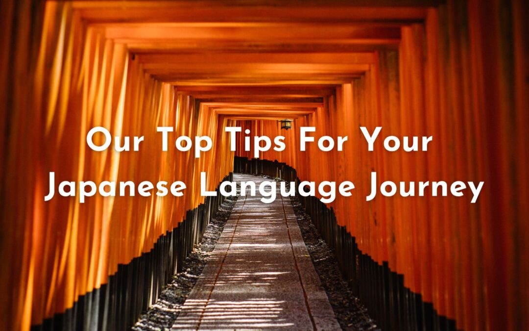 Our Top Tips For Learning Japanese